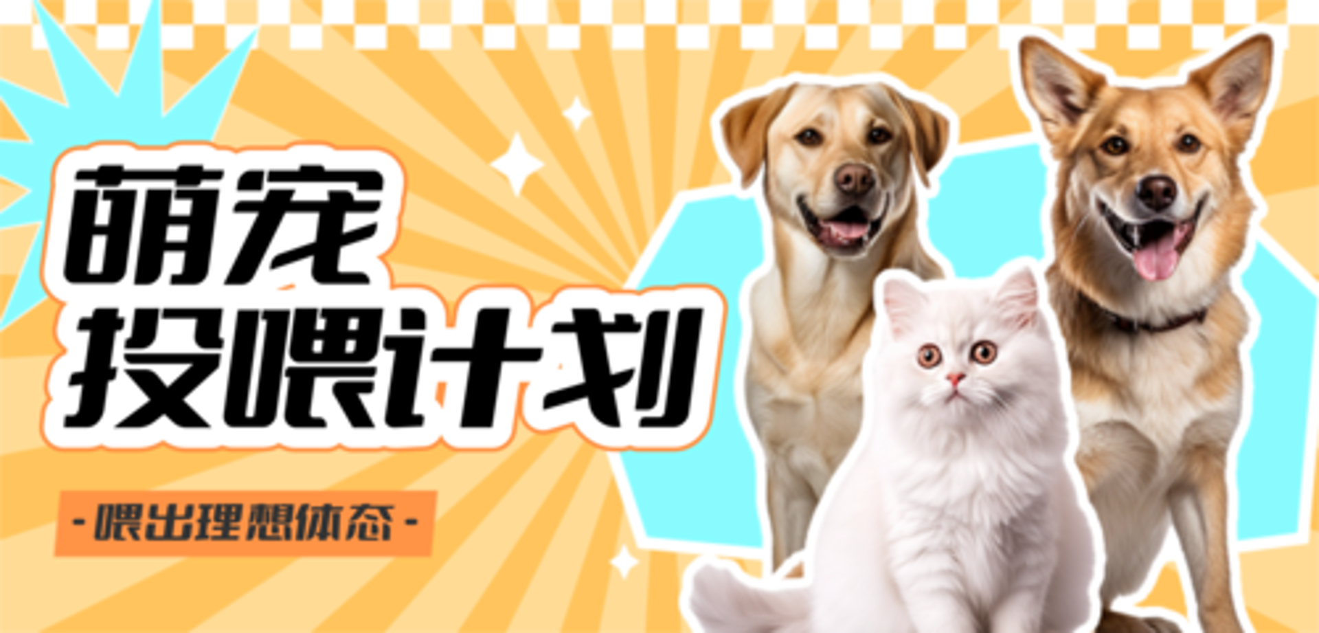 圣猫宠物用品商城