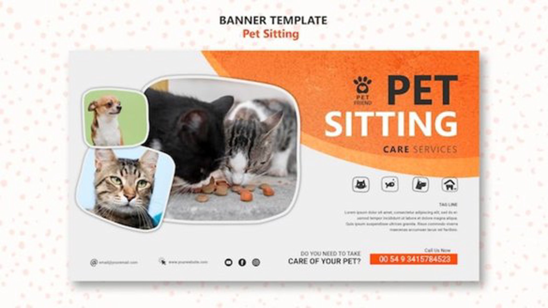 圣猫宠物用品商城